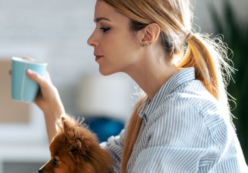 What Are the Rules for IRA Rollovers and Transfers?